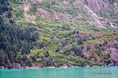 alaska-180 alaska-180