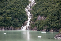 alaska-198 alaska-198