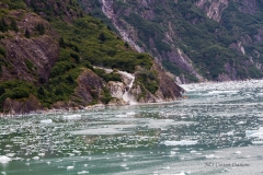 alaska-203 alaska-203