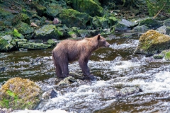 alaska-286 alaska-286