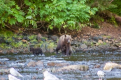 alaska-326 alaska-326