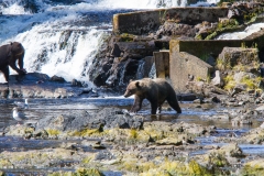 alaska-332 alaska-332