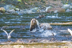 alaska-336