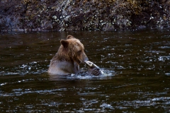 alaska-366 alaska-366