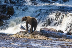 alaska-374 alaska-374