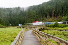 alaska-534 alaska-534